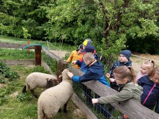 20220523_111313_copy_1024x768